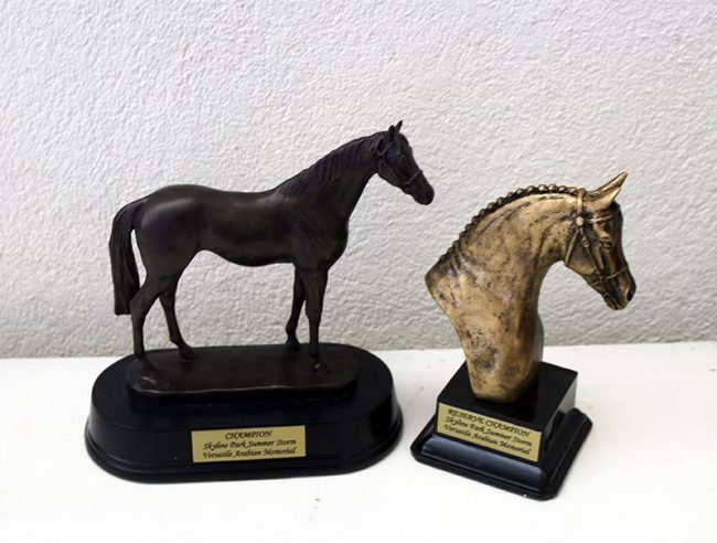 14199734_1170903896288707_8785148825991018066_n