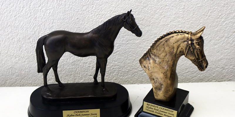 14199734_1170903896288707_8785148825991018066_n